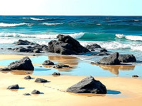 Seascape Painting References Photo 561