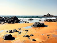 Seascape Painting References Photo 564