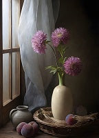 Still Life Painting References Photo 532