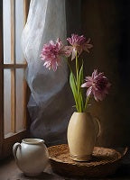 Still Life Painting References Photo 534