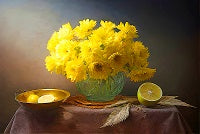 Still Life Painting References Photo 604