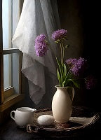 Still Life Painting References Photo 652